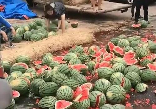 陇南网红吃瓜满床跑,揭秘网络红人的日常生活 第1张 陇南网红吃瓜满床跑,揭秘网络红人的日常生活 第1张