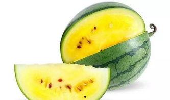 免费吃瓜群图什么,一场视觉盛宴背后的故事 第2张 免费吃瓜群图什么,一场视觉盛宴背后的故事 第2张